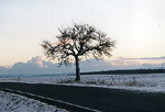 Foto22
